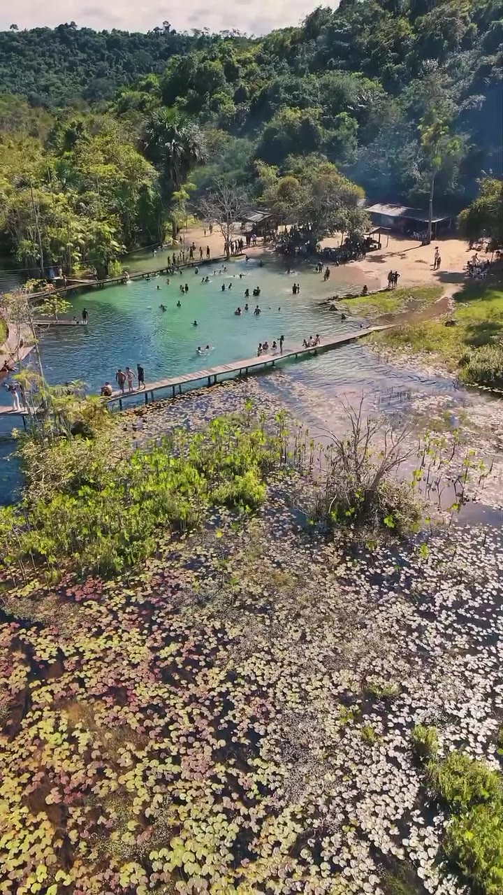 Vegetação e águas do Balneário Valentim